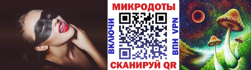 сколько стоит  Дыгулыбгей  Псилоцибиновые грибы Psilocybe 
